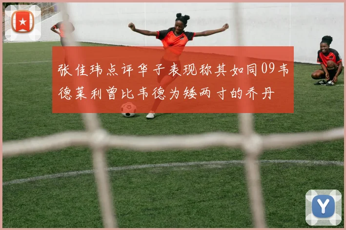 张佳玮点评华子表现称其如同09韦德莱利曾比韦德为矮两寸的乔丹