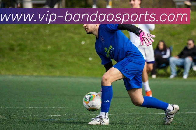 App Interface Preview