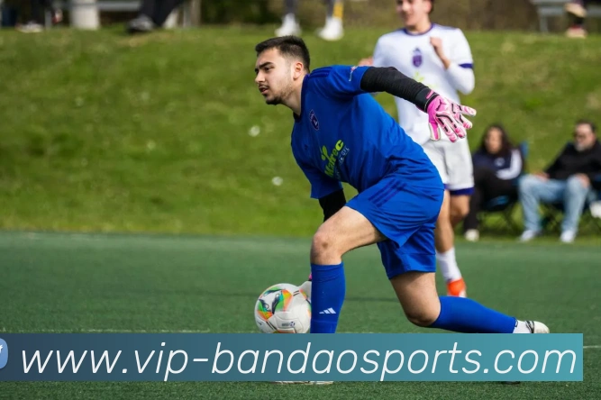 半岛体育APP 封面图