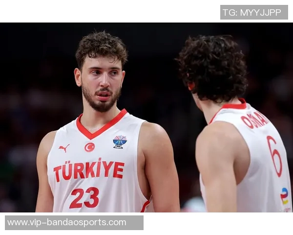 媒体人点评约基奇全力出击申京遭遇惨痛教训难以承受 媒体人点评约基奇全力出击申京遭遇惨痛教训难以承受