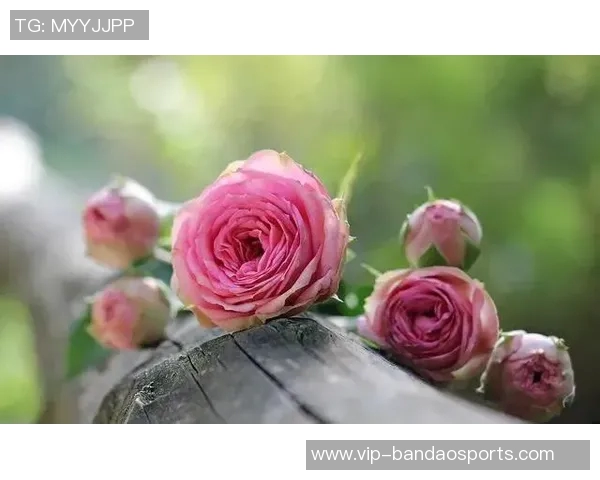 奇妙缘分重现巴黎小将恩贾恩图与亚马尔曾在U10赛场相遇 奇妙缘分重现巴黎小将恩贾恩图与亚马尔曾在U10赛场相遇