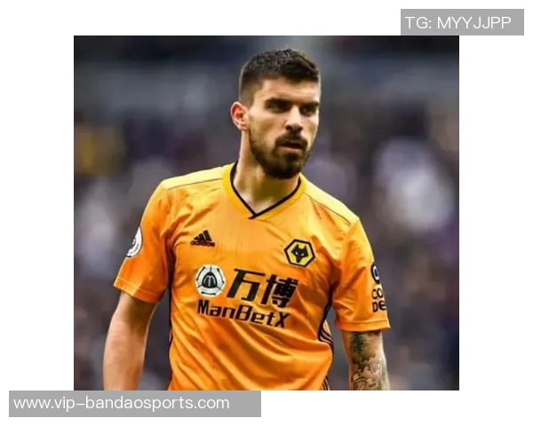 本菲卡计划冬窗出售施耶尔德鲁普目标转会费2500万欧元