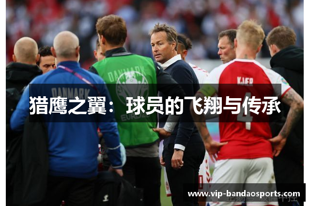 猎鹰之翼：球员的飞翔与传承