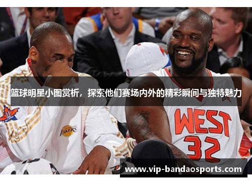 篮球明星小图赏析，探索他们赛场内外的精彩瞬间与独特魅力